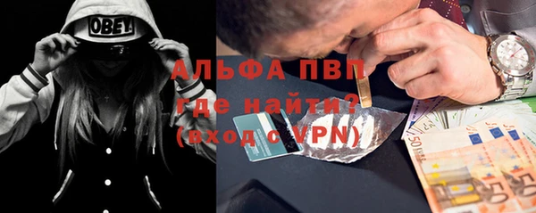 стаф Арсеньев