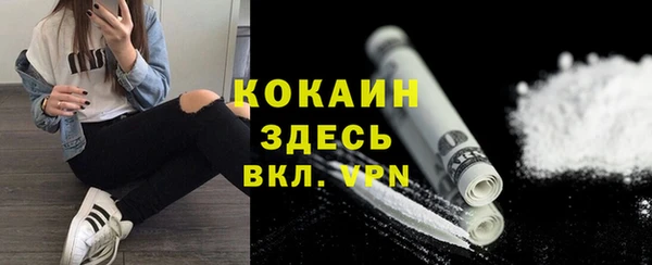 стаф Арсеньев