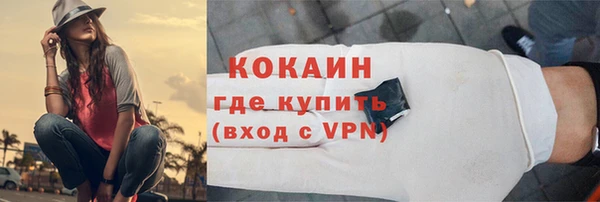 стаф Арсеньев