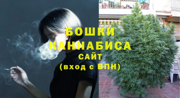 сатива Аркадак