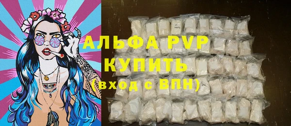 сатива Аркадак