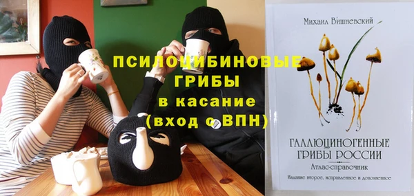 сатива Аркадак