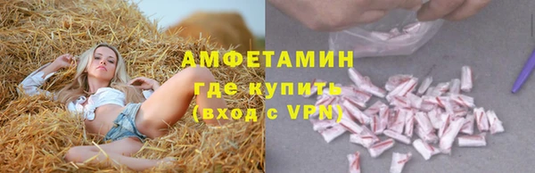 стаф Арсеньев